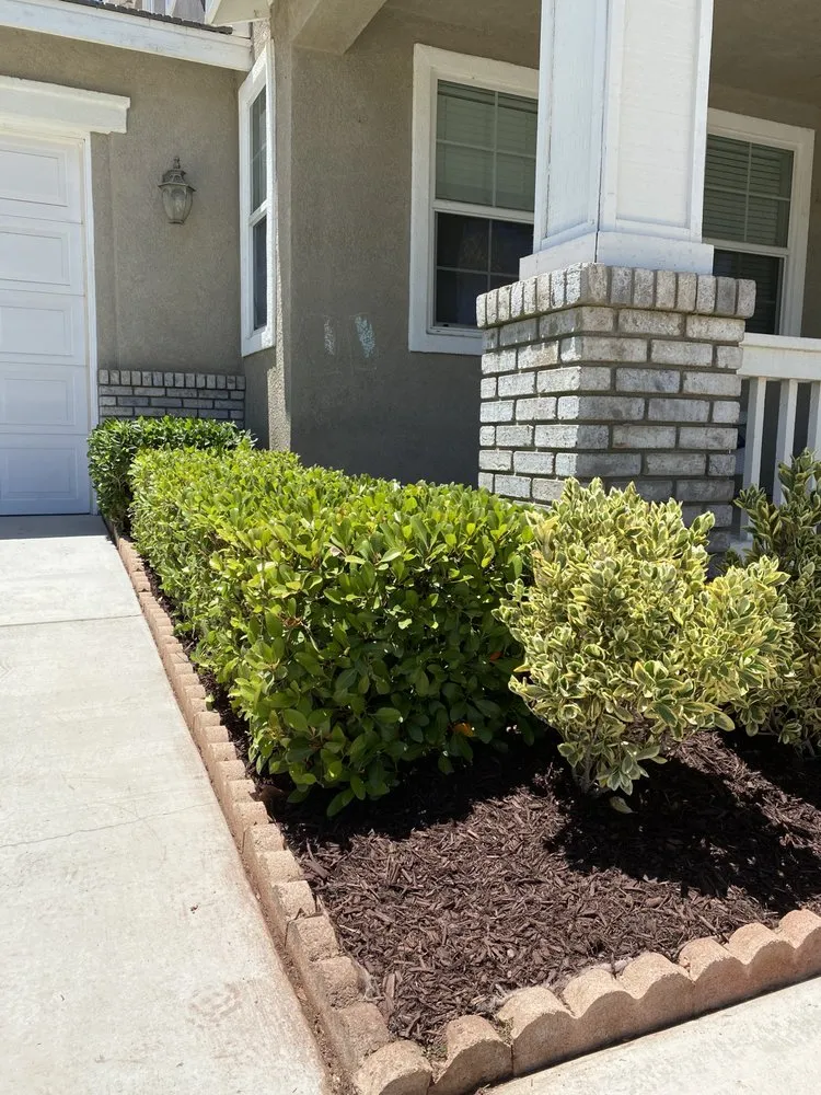 Top-rated yard maintenance experts serving Murrieta, CA - Bee's Yard Maintenance & Landscaping