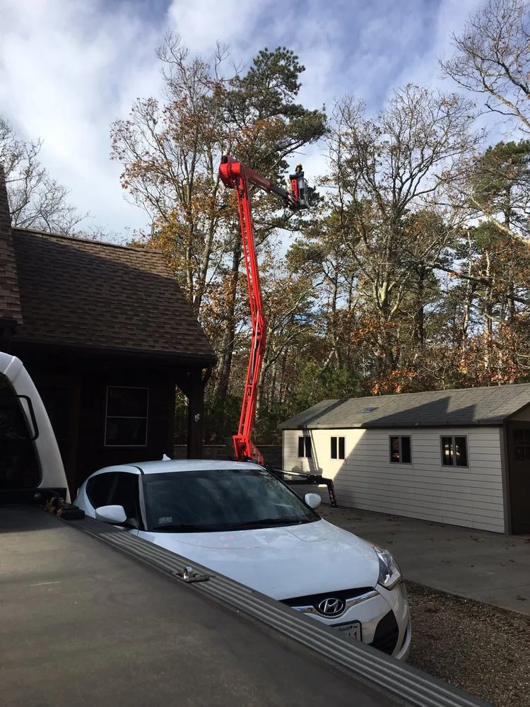 Expert yard maintenance for homes across West Tisbury, MA - Beetlebung Tree Care