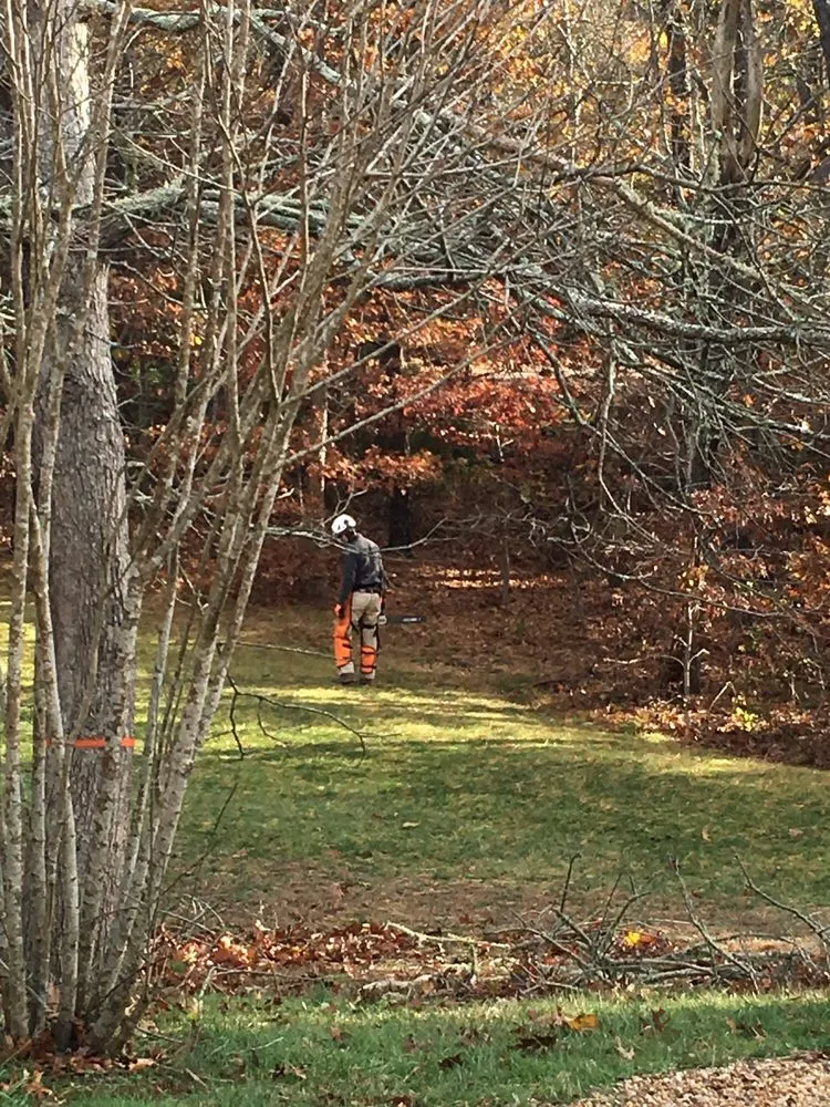 Affordable landscape design experts serving West Tisbury, MA - Beetlebung Tree Care