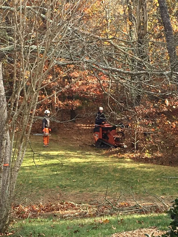 Top-rated garden landscaping for beautiful yards across West Tisbury, MA - Beetlebung Tree Care