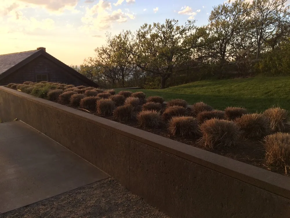 Top-rated outdoor landscaping in West Tisbury, MA - Beetlebung Tree Care