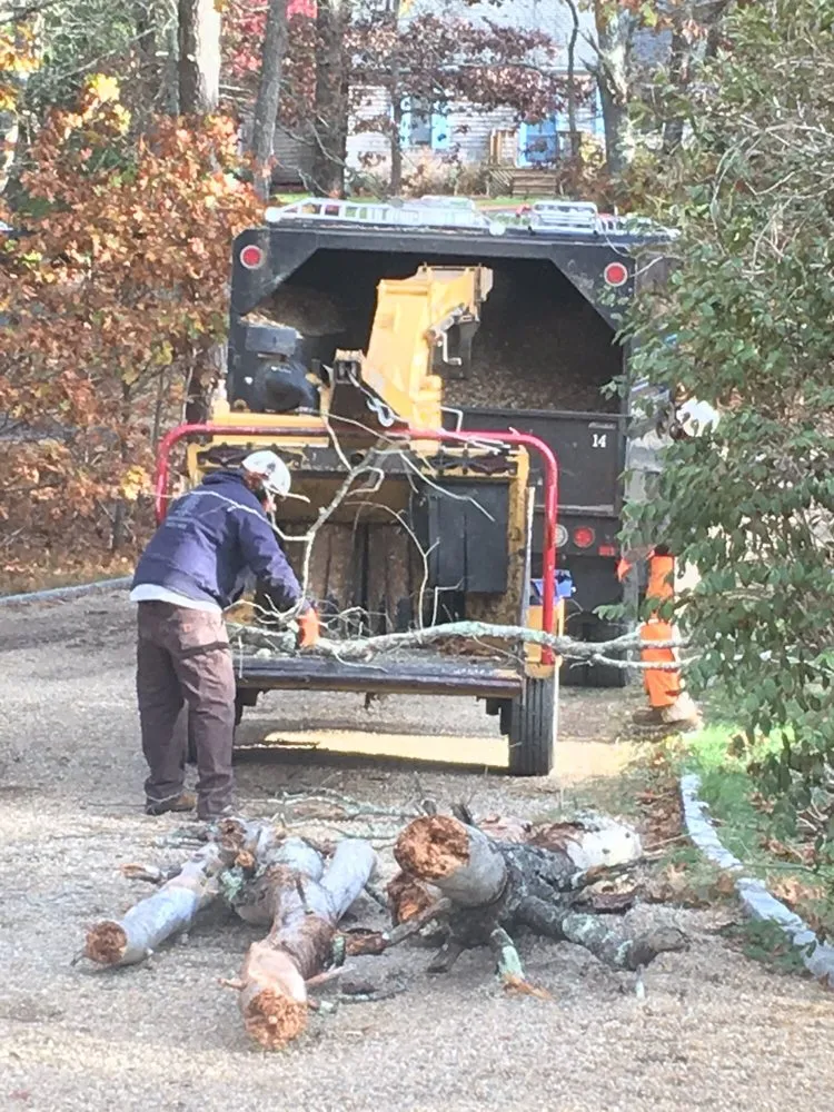 Expert residential landscaping for residential properties across West Tisbury, MA - Beetlebung Tree Care