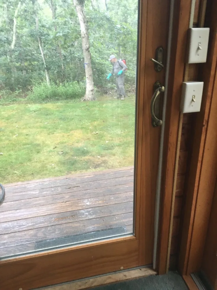 Trusted yard cleanup service experts serving West Tisbury, MA - Beetlebung Tree Care