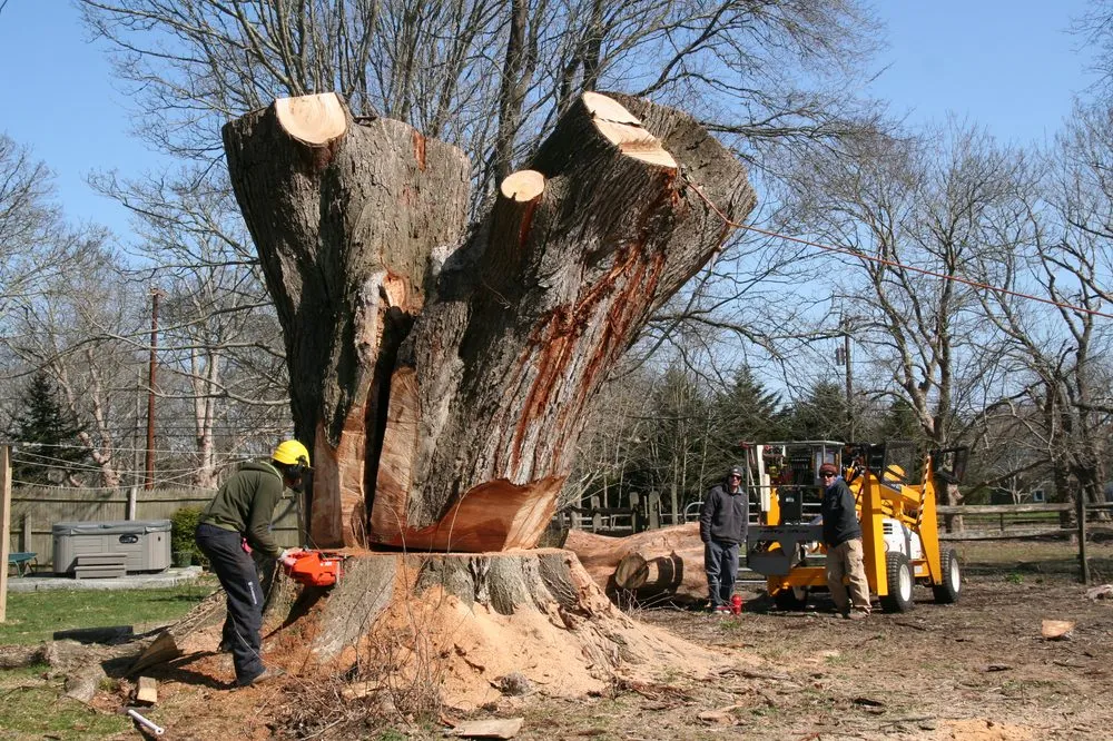 Top-rated landscape design near you across West Tisbury, MA - Beetlebung Tree Care