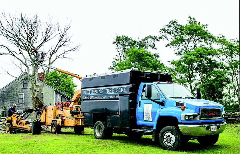Custom garden landscaping experts serving West Tisbury, MA - Beetlebung Tree Care