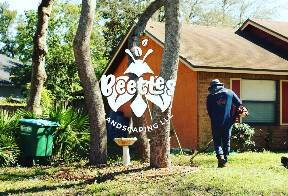 Top-rated yard cleanup service in Deltona, FL - Beetles Landscaping