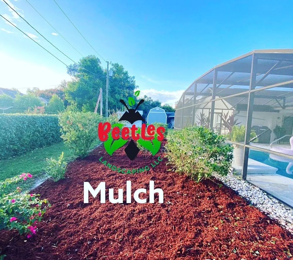 Expert landscape design in Deltona, FL by Beetles Landscaping