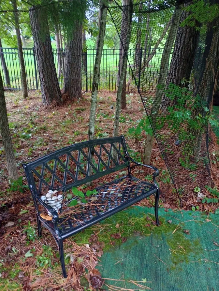 Local outdoor landscaping experts serving Sophia, NC - Beez Landscaping and Handyman Service