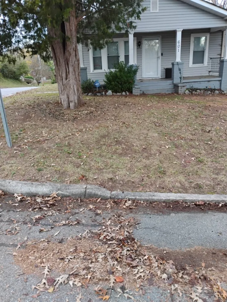 Custom lawn mowing service in Sophia, NC by Beez Landscaping and Handyman Service
