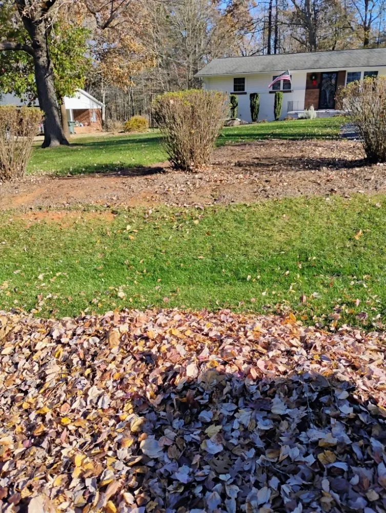 Affordable lawn mowing service experts serving Sophia, NC - Beez Landscaping and Handyman Service