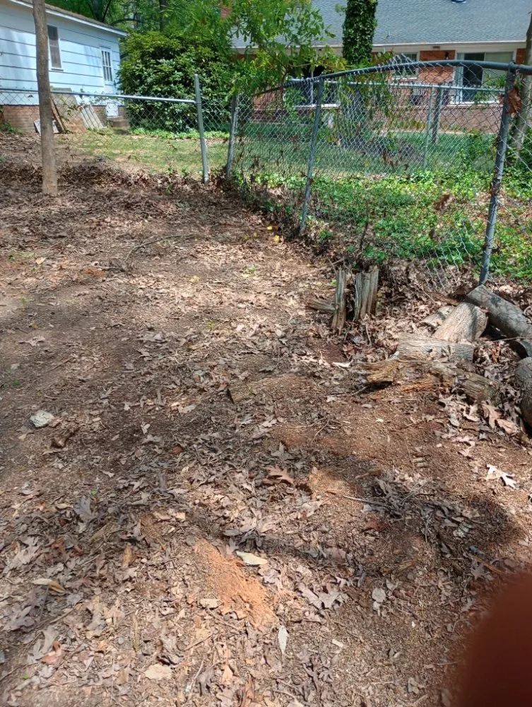 Professional landscaping services in Sophia, NC - Beez Landscaping and Handyman Service