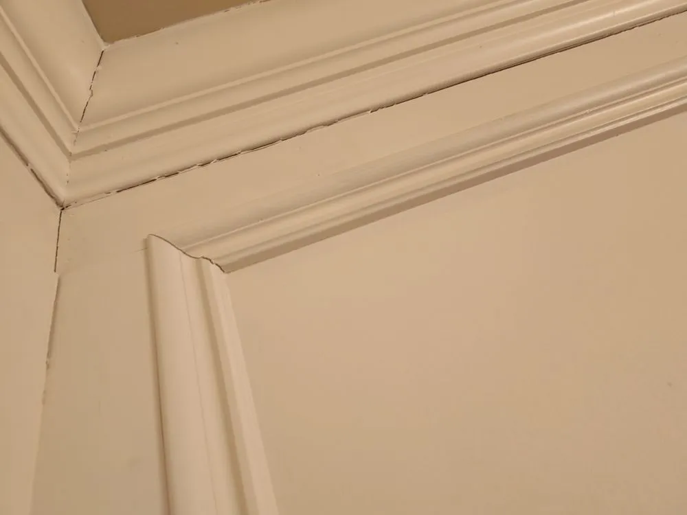 Top-rated lawn mowing service in Georgetown, KY - BEEZY BEEZ Property Maintenance Company