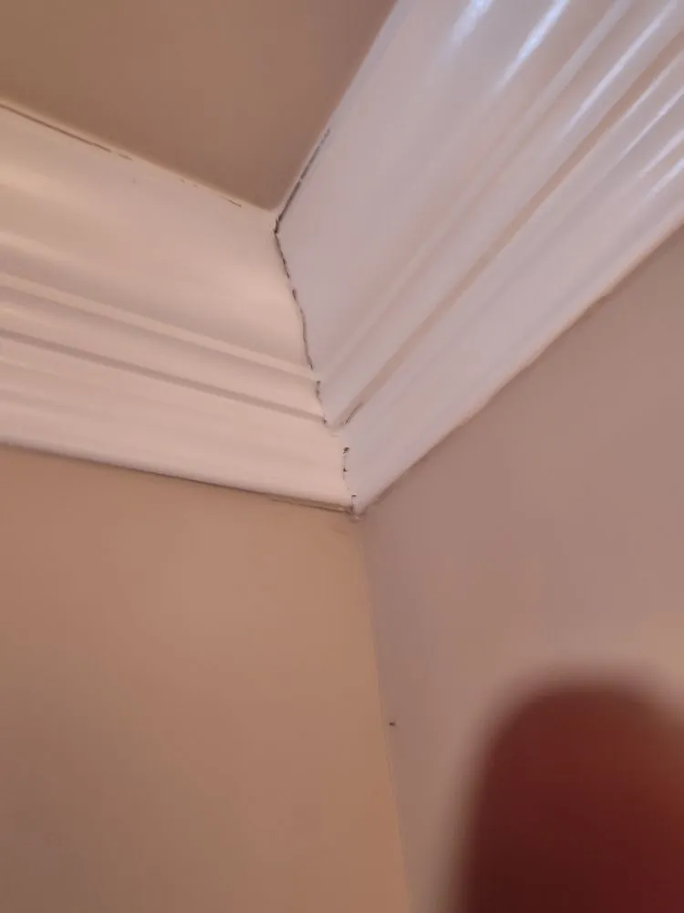 Trusted residential landscaping in Georgetown, KY - BEEZY BEEZ Property Maintenance Company