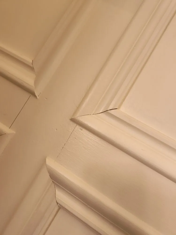 Trusted yard maintenance for outdoor upgrades across Georgetown, KY - BEEZY BEEZ Property Maintenance Company