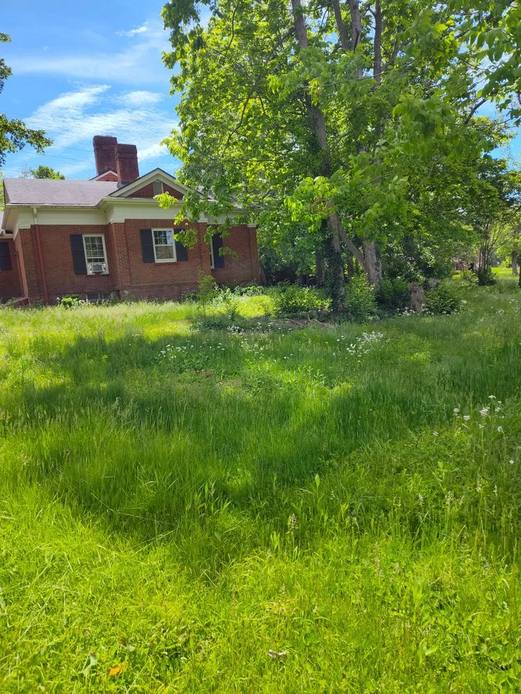 Top-rated landscape installation in Georgetown, KY - BEEZY BEEZ Property Maintenance Company