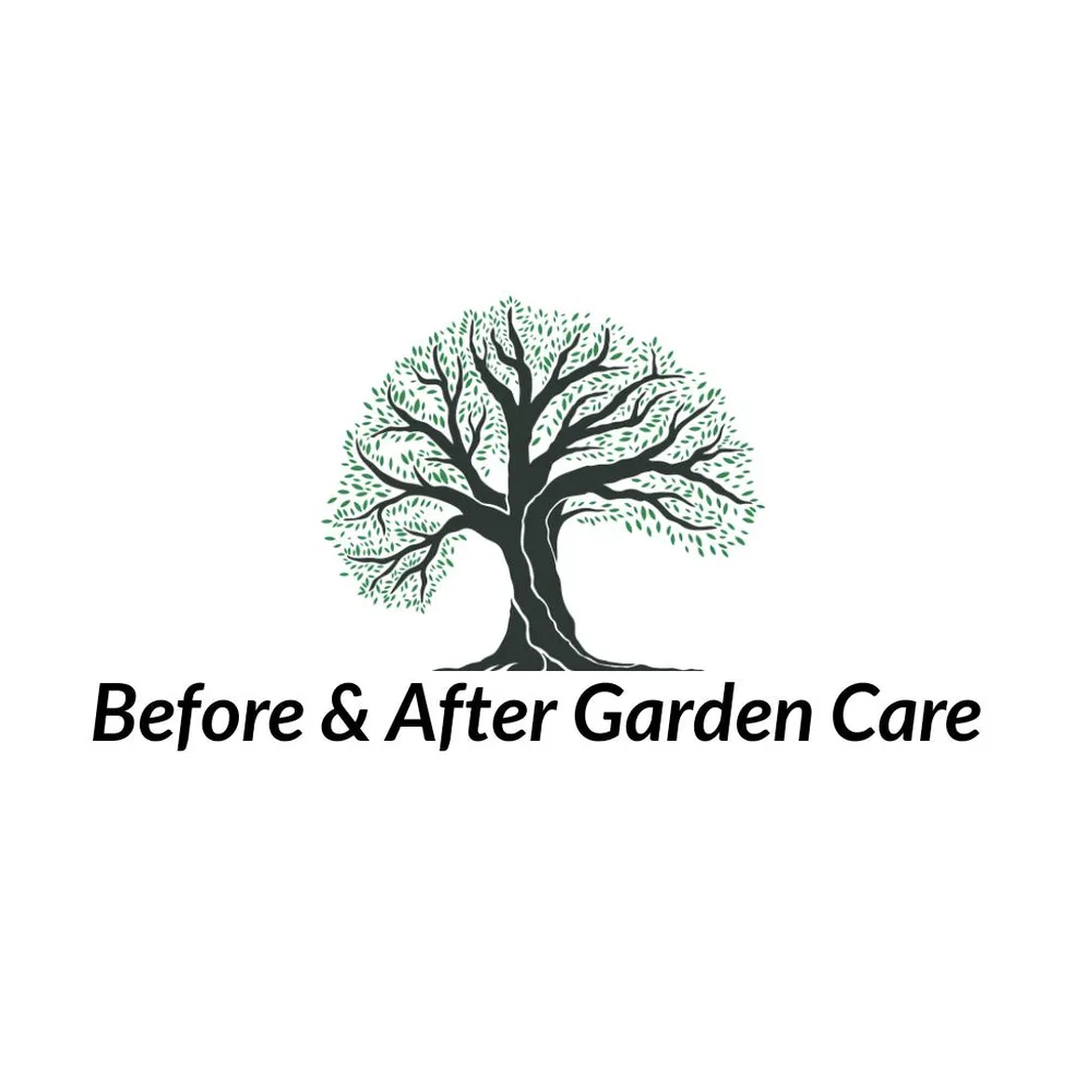 Expert residential landscaping in Huachuca City, AZ by Before & After Garden Care