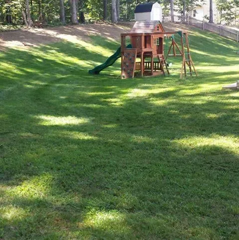 Top-rated yard cleanup service for residential properties in Spotsylvania, VA by Before & After Home Improvment LLC