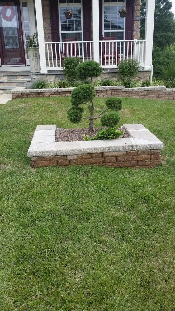 Affordable yard maintenance experts serving Spotsylvania, VA - Before & After Home Improvment LLC