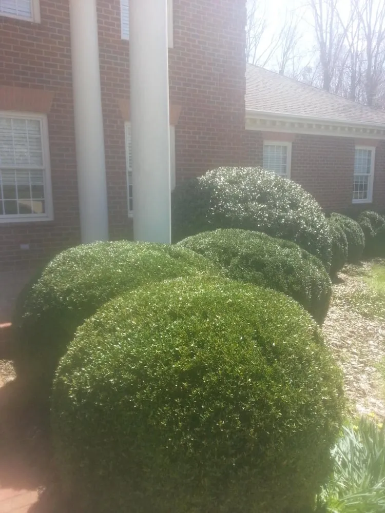 Top-rated yard cleanup service experts serving Spotsylvania, VA - Before & After Home Improvment LLC