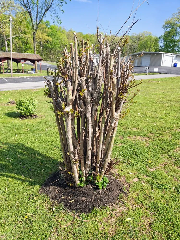 Top-rated outdoor landscaping in Bowling Green, KY - Before & After Landscaping