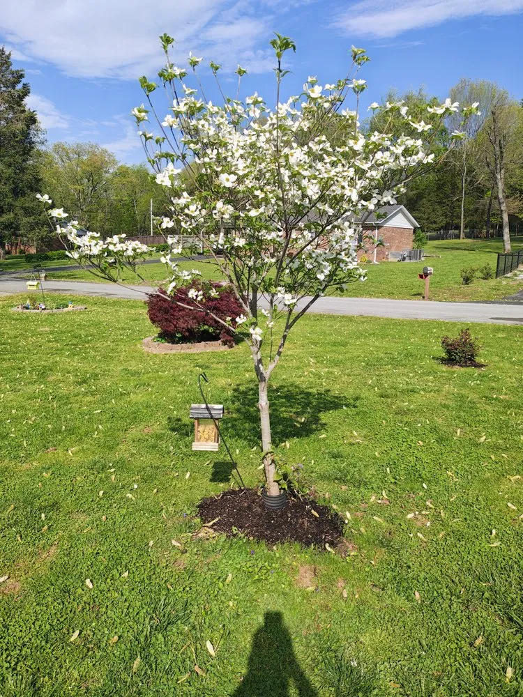 Reliable outdoor landscaping in Bowling Green, KY by Before & After Landscaping