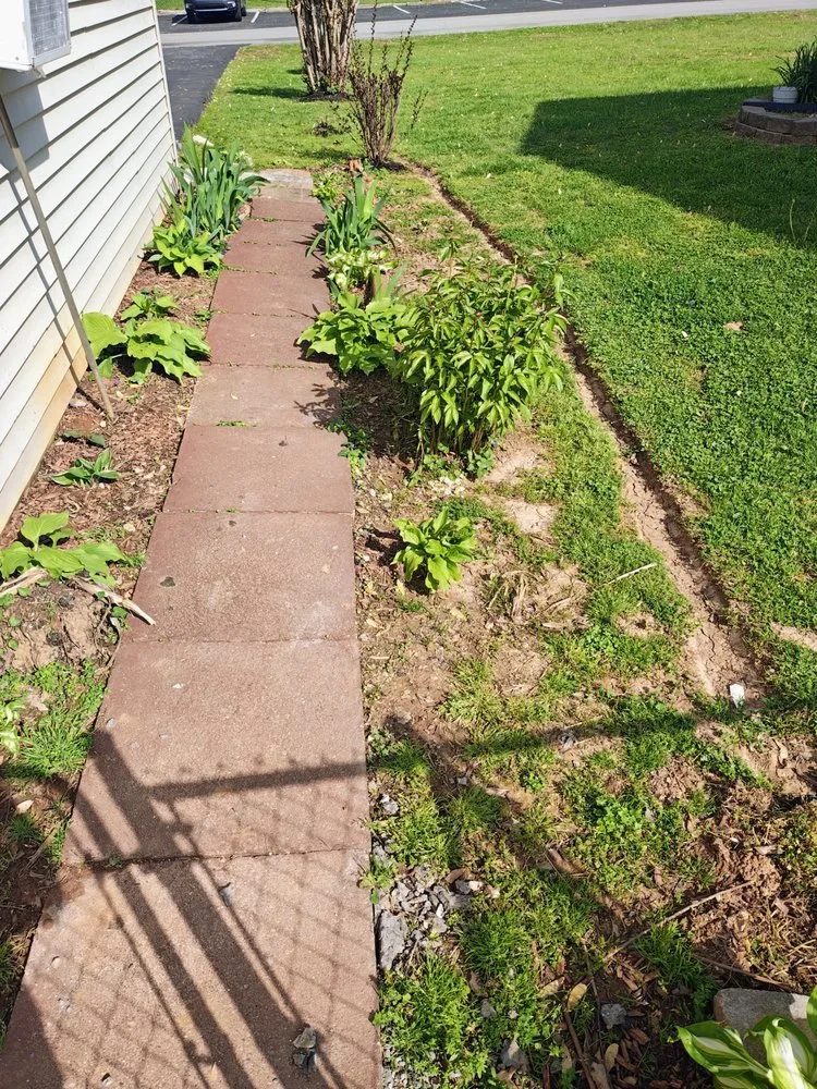 Professional landscaping services in Bowling Green, KY by Before & After Landscaping