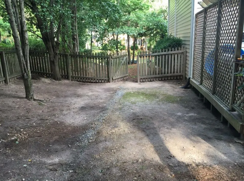 Reliable yard maintenance for year-round maintenance in Marietta, GA by Before & After Scapes