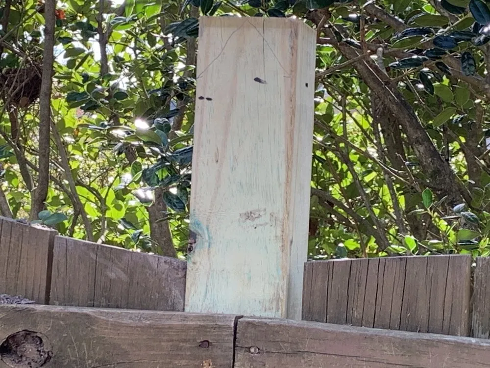 Top-rated yard cleanup service experts serving Farmville, NC - Before and After Concrete and Landscaping