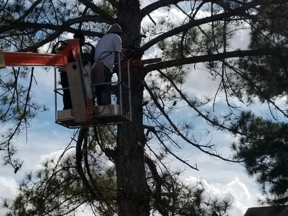 Local outdoor landscaping near you in Farmville, NC by Before and After Concrete and Landscaping