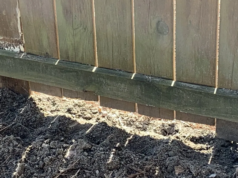 Top-rated outdoor landscaping in Farmville, NC - Before and After Concrete and Landscaping