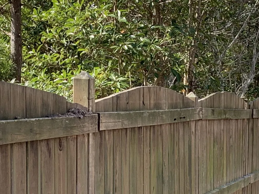 Trusted garden landscaping in Farmville, NC by Before and After Concrete and Landscaping