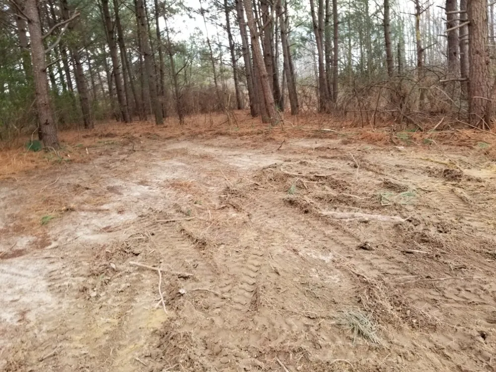 Expert lawn mowing service in Farmville, NC by Before and After Concrete and Landscaping