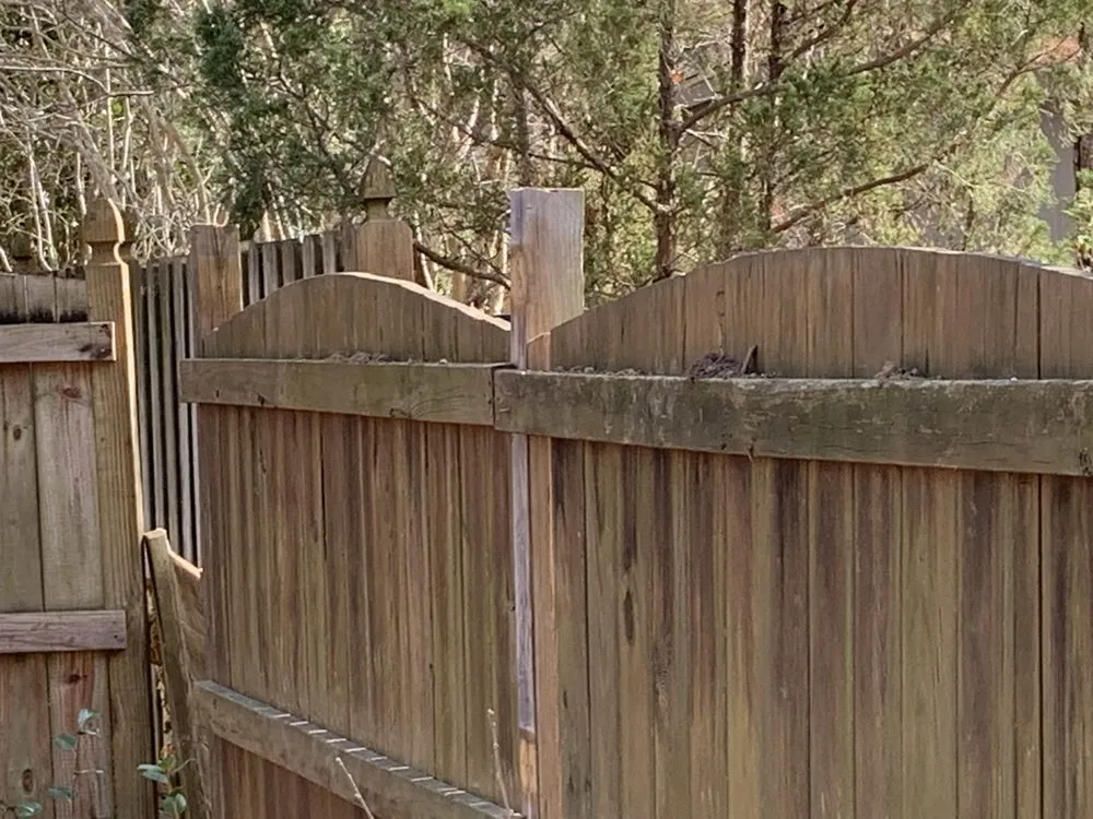 Trusted lawn care service in Farmville, NC by Before and After Concrete and Landscaping