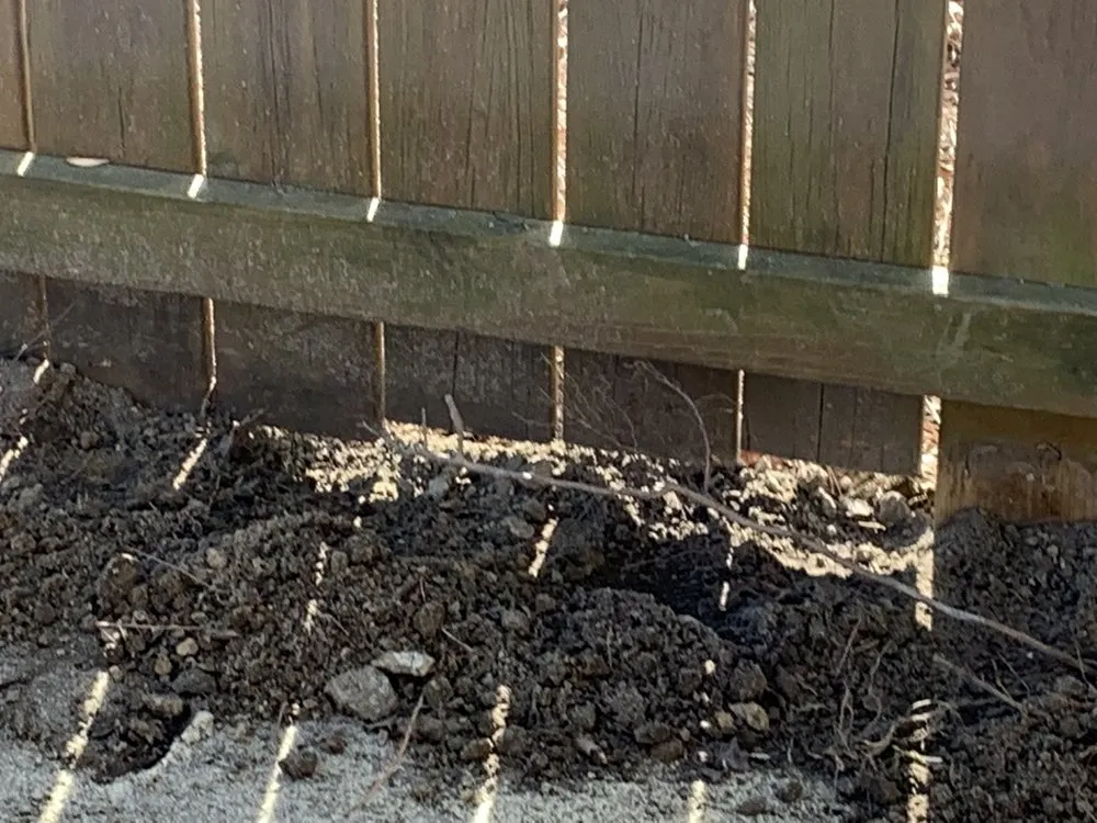 Professional lawn care service for year-round maintenance across Farmville, NC - Before and After Concrete and Landscaping