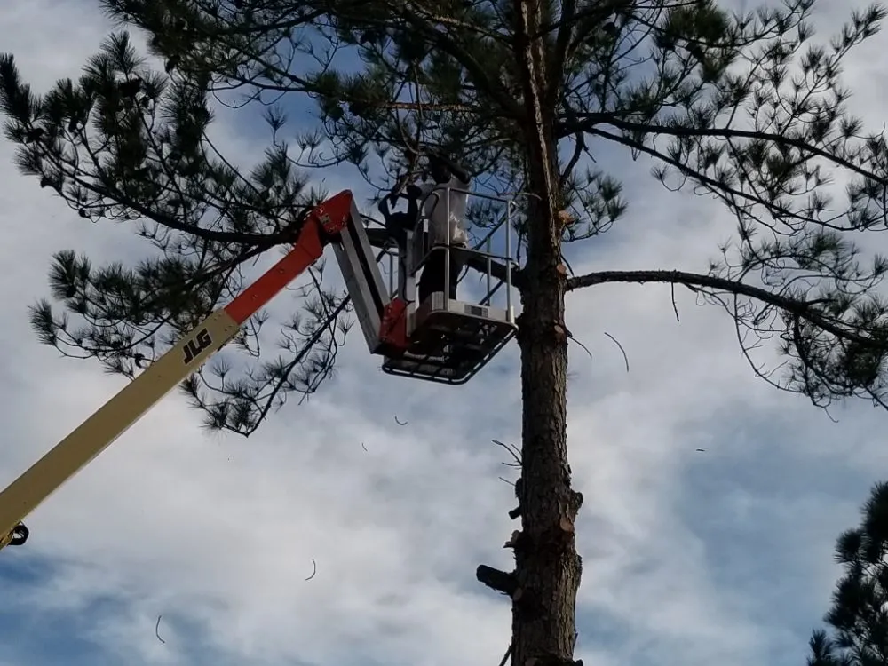 Affordable yard maintenance in Farmville, NC by Before and After Concrete and Landscaping