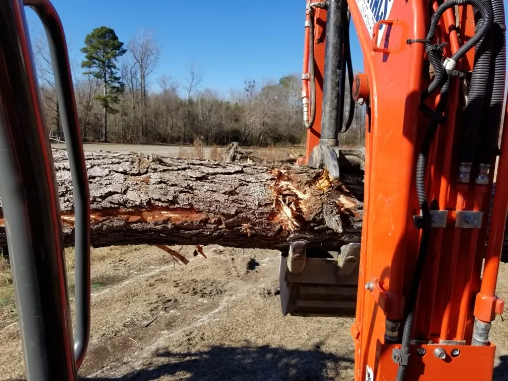 Reliable yard cleanup service for beautiful yards in Farmville, NC by Before and After Concrete and Landscaping