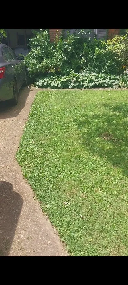 Top-rated landscaping services in Memphis, TN by Before and After Landscaping and Home Improvement