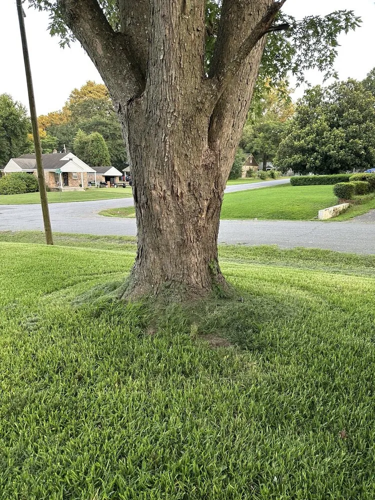 Reliable landscape design for homes across Memphis, TN - Before and After Landscaping and Home Improvement