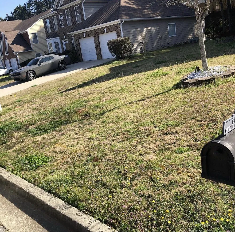 Affordable outdoor landscaping in Fayetteville, GA by Before And After Lawn Care