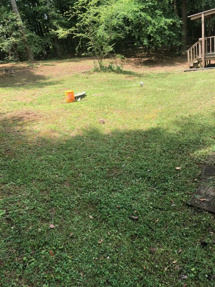 Custom yard cleanup service with custom design across Fayetteville, GA - Before And After Lawn Care