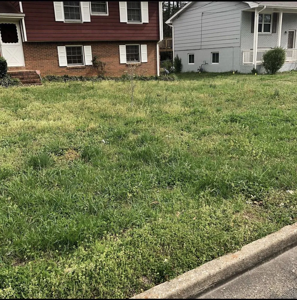 Custom yard maintenance experts serving Fayetteville, GA - Before And After Lawn Care