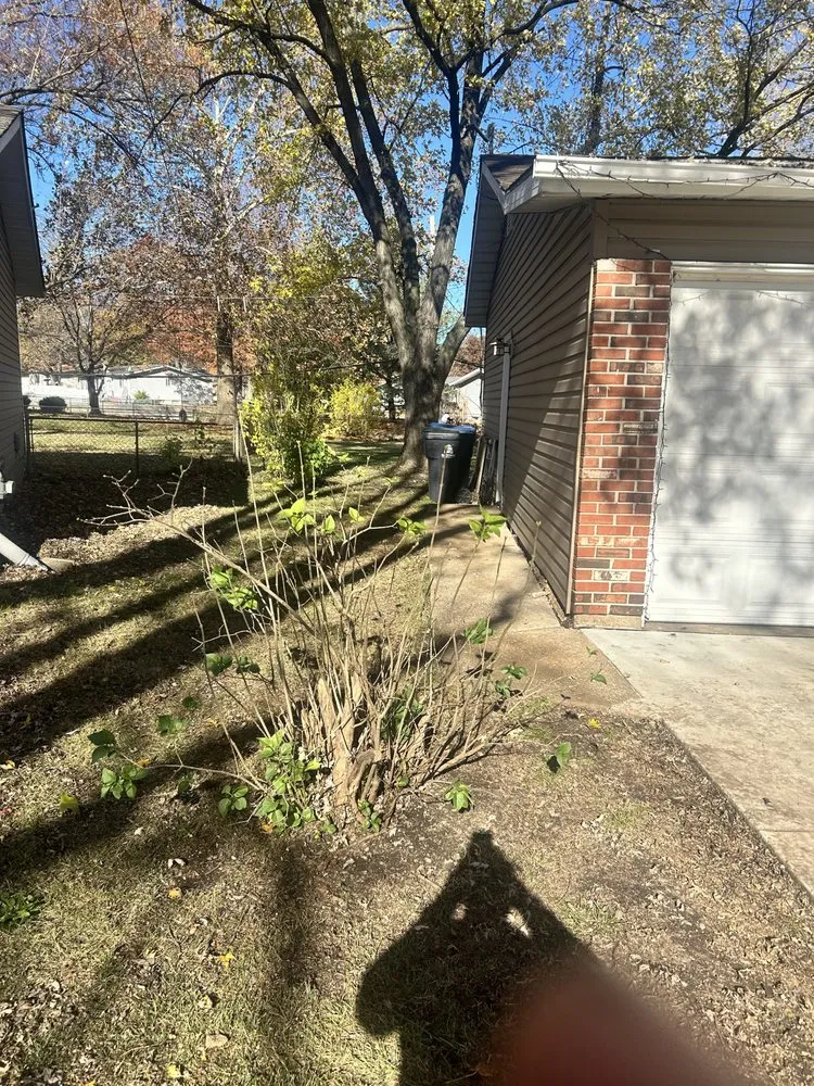 Custom garden landscaping experts serving University City, MO - Before And After Lawn Care