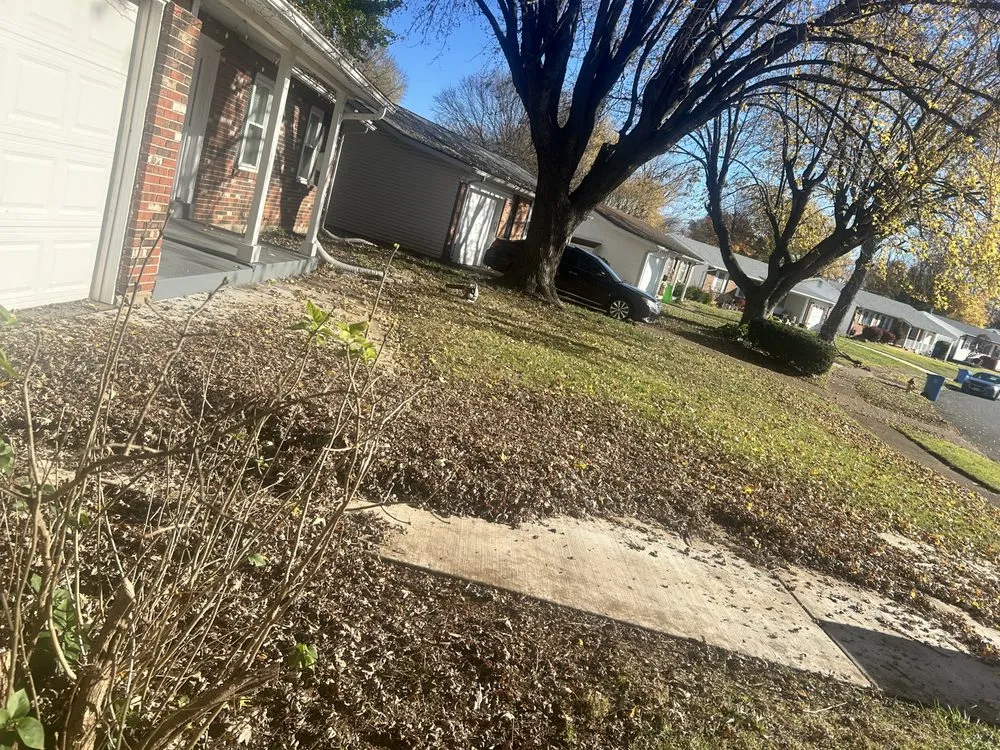 Top-rated yard cleanup service for year-round maintenance across University City, MO - Before And After Lawn Care