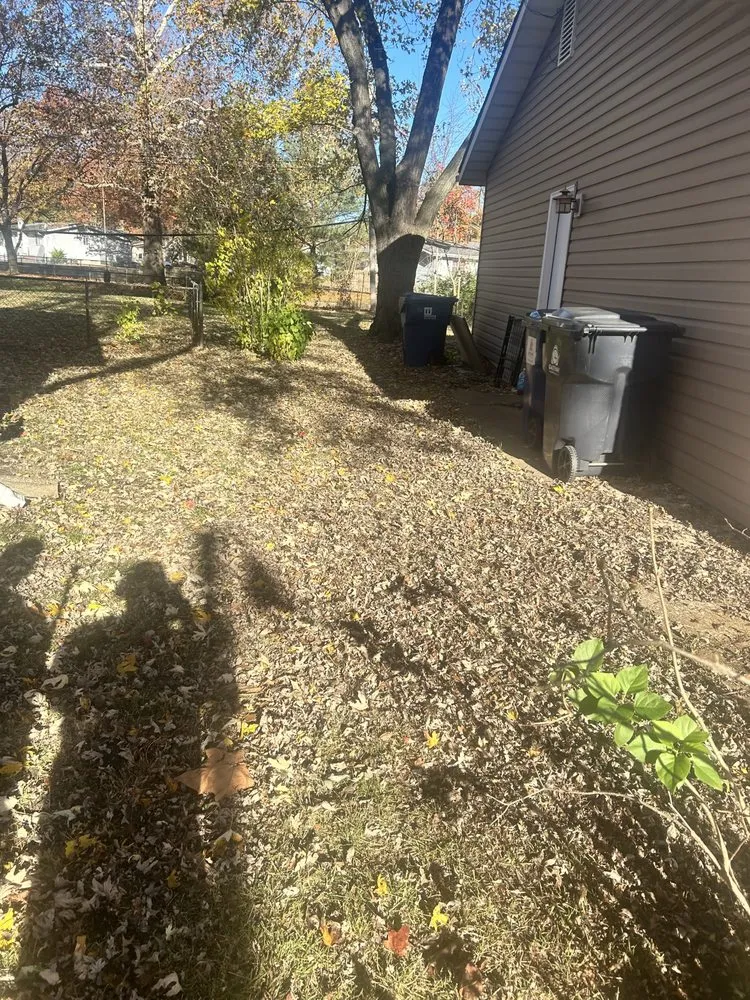 Reliable outdoor landscaping experts serving University City, MO - Before And After Lawn Care