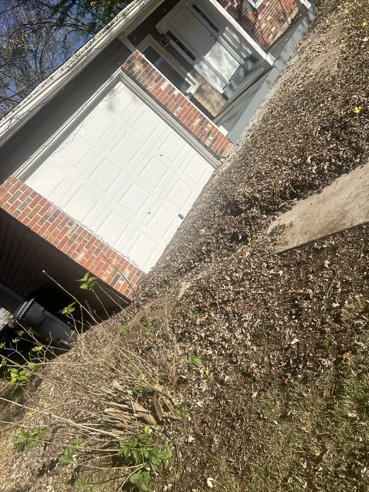 Expert lawn mowing service for year-round maintenance across University City, MO - Before And After Lawn Care