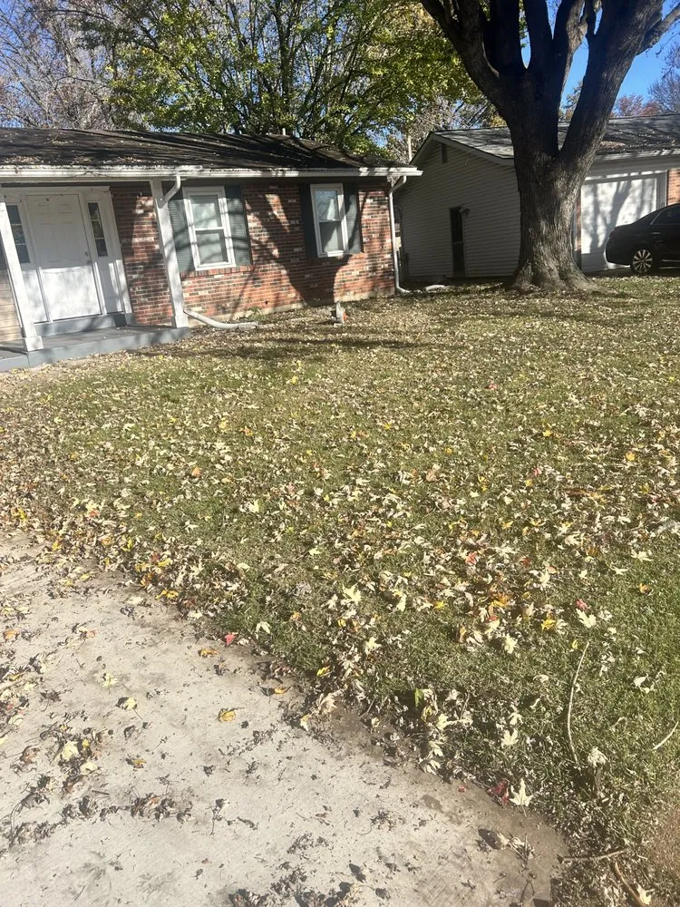 Affordable yard cleanup service in University City, MO - Before And After Lawn Care