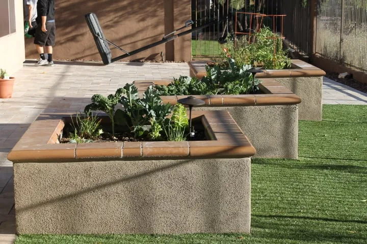 Expert yard maintenance in Phoenix, AZ by Before The Door Landscapes