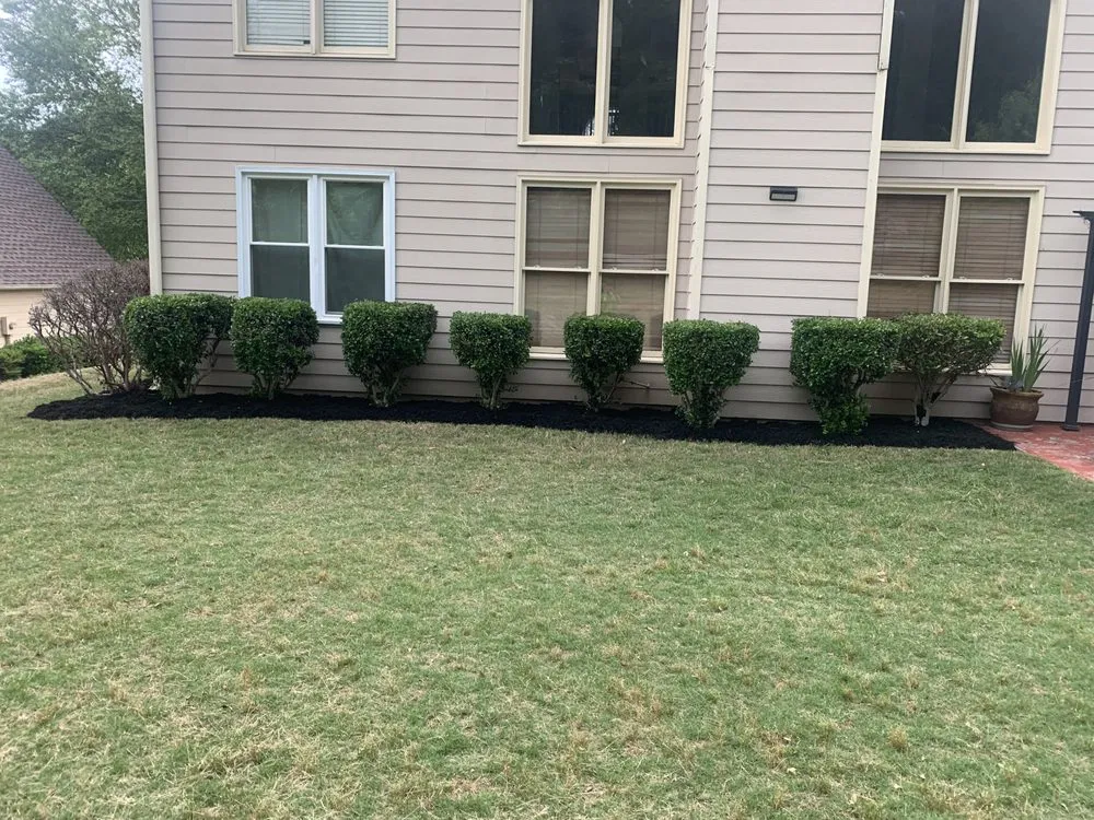 Top-rated yard cleanup service experts serving Norcross, GA - Bega Landscape