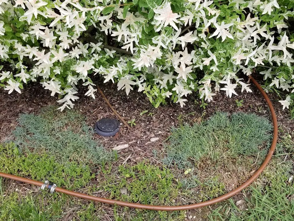 Expert landscape design in Northville, MI by Begonia Brothers