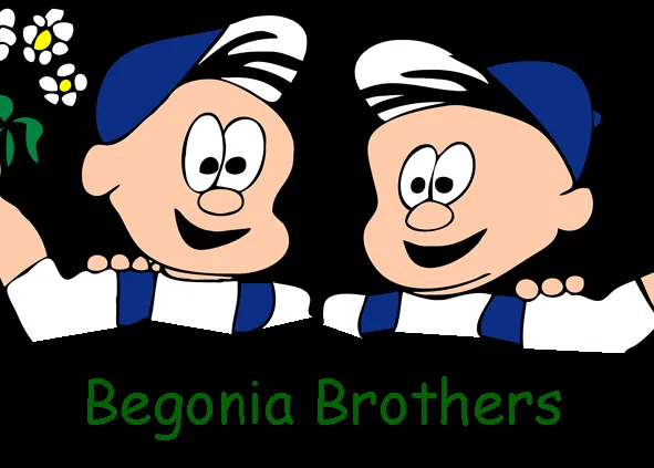 Top-rated garden landscaping with custom design across Northville, MI - Begonia Brothers